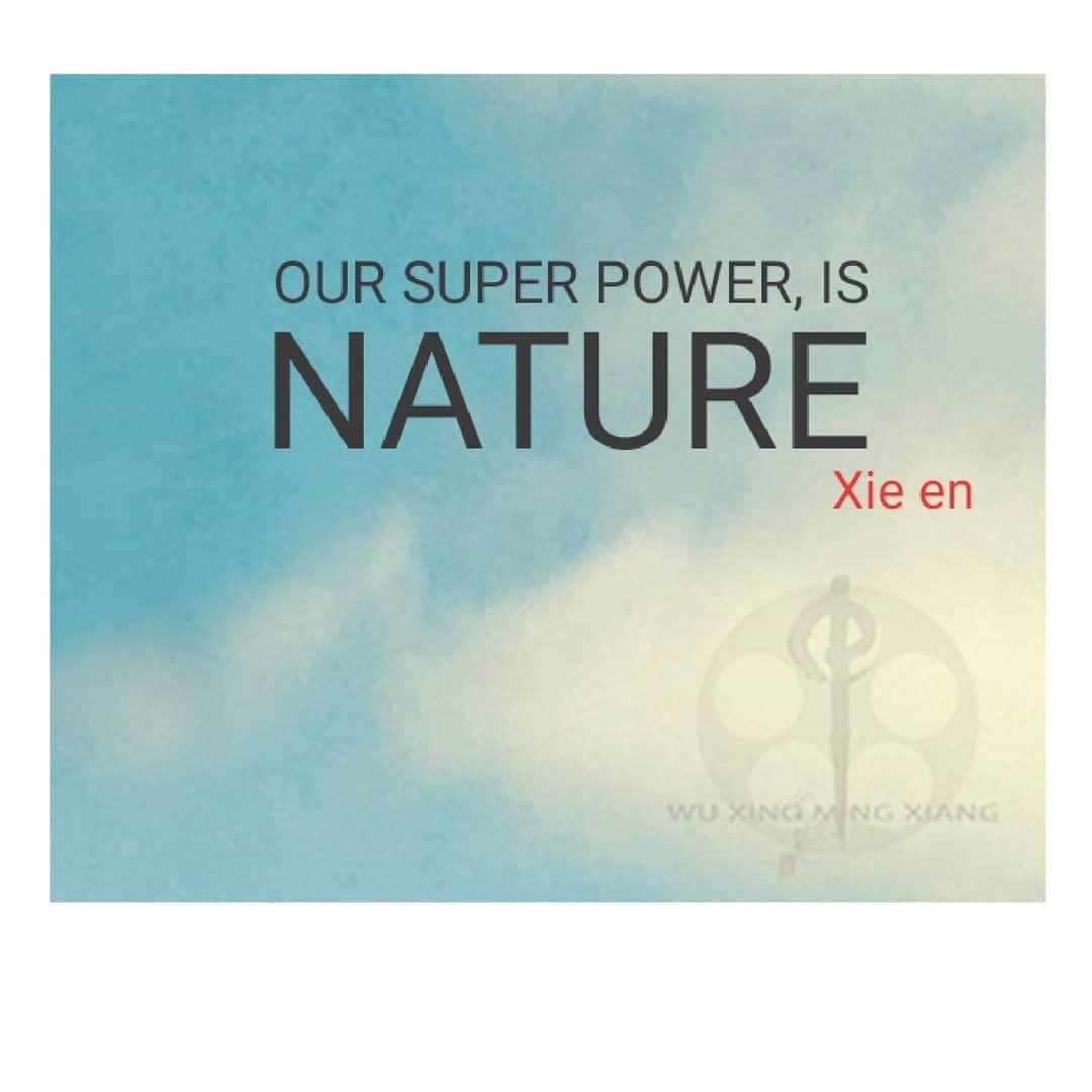 True Nature Super power Zen Master Venerable Xieen quote