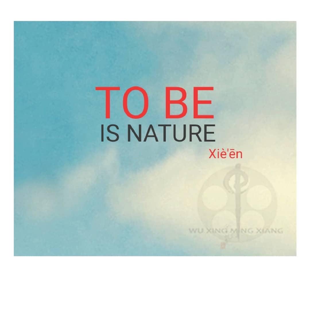 true nature zen master physician venerable xieen quote