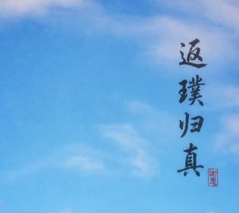 back to true nature chinese calligraphy by zen master and physician venerable xieen