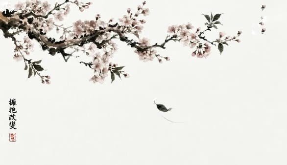 embracing change method by zen master physician venerable xieen